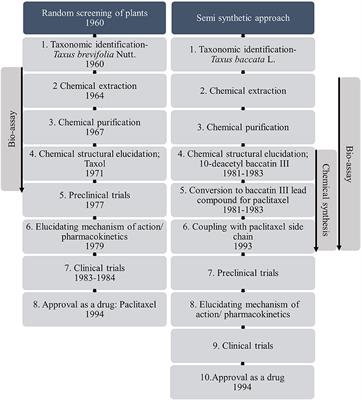 Combining Evolutionary Inference and Metabolomics to Identify Plants With Medicinal Potential